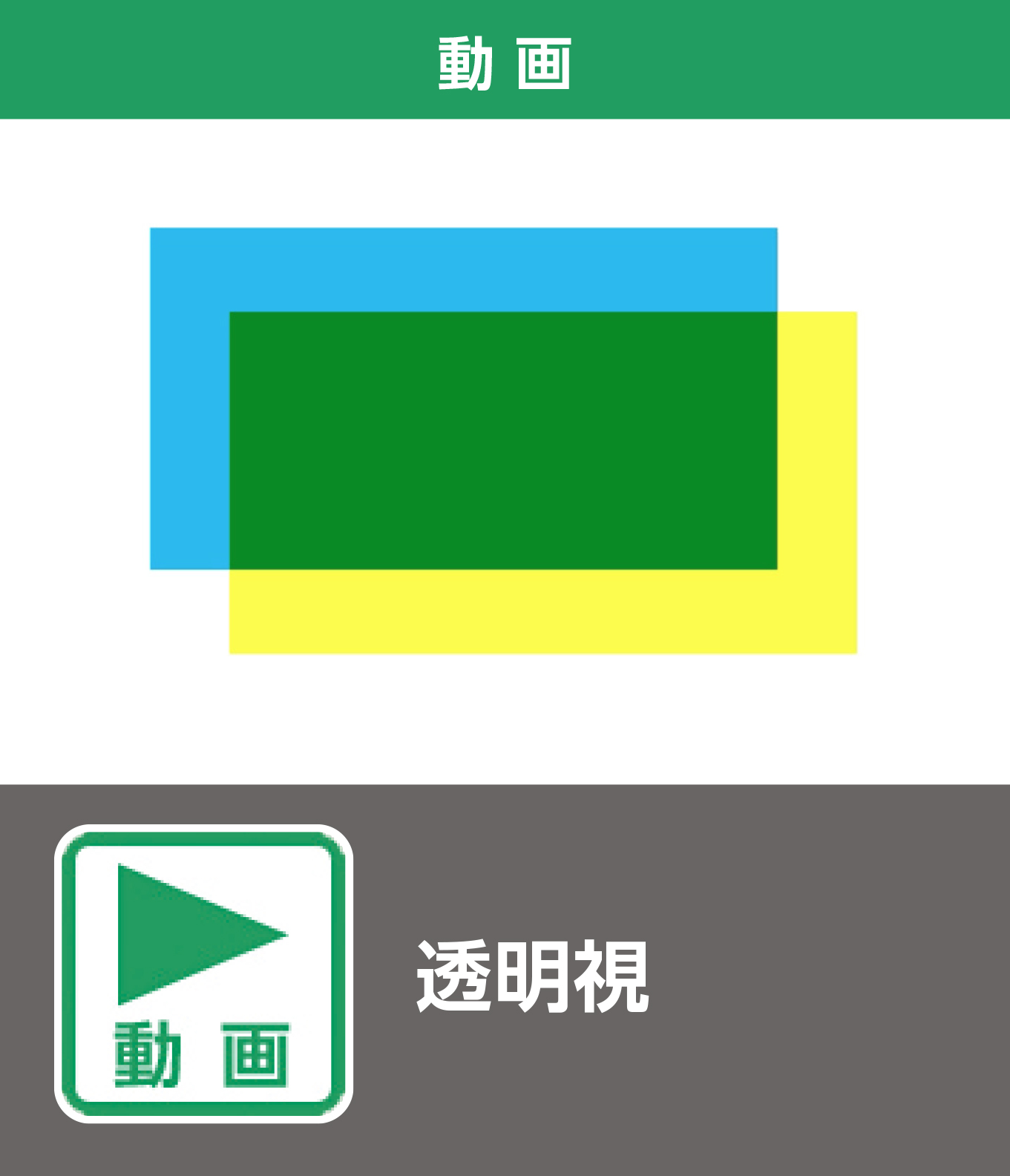 透明視（動画）