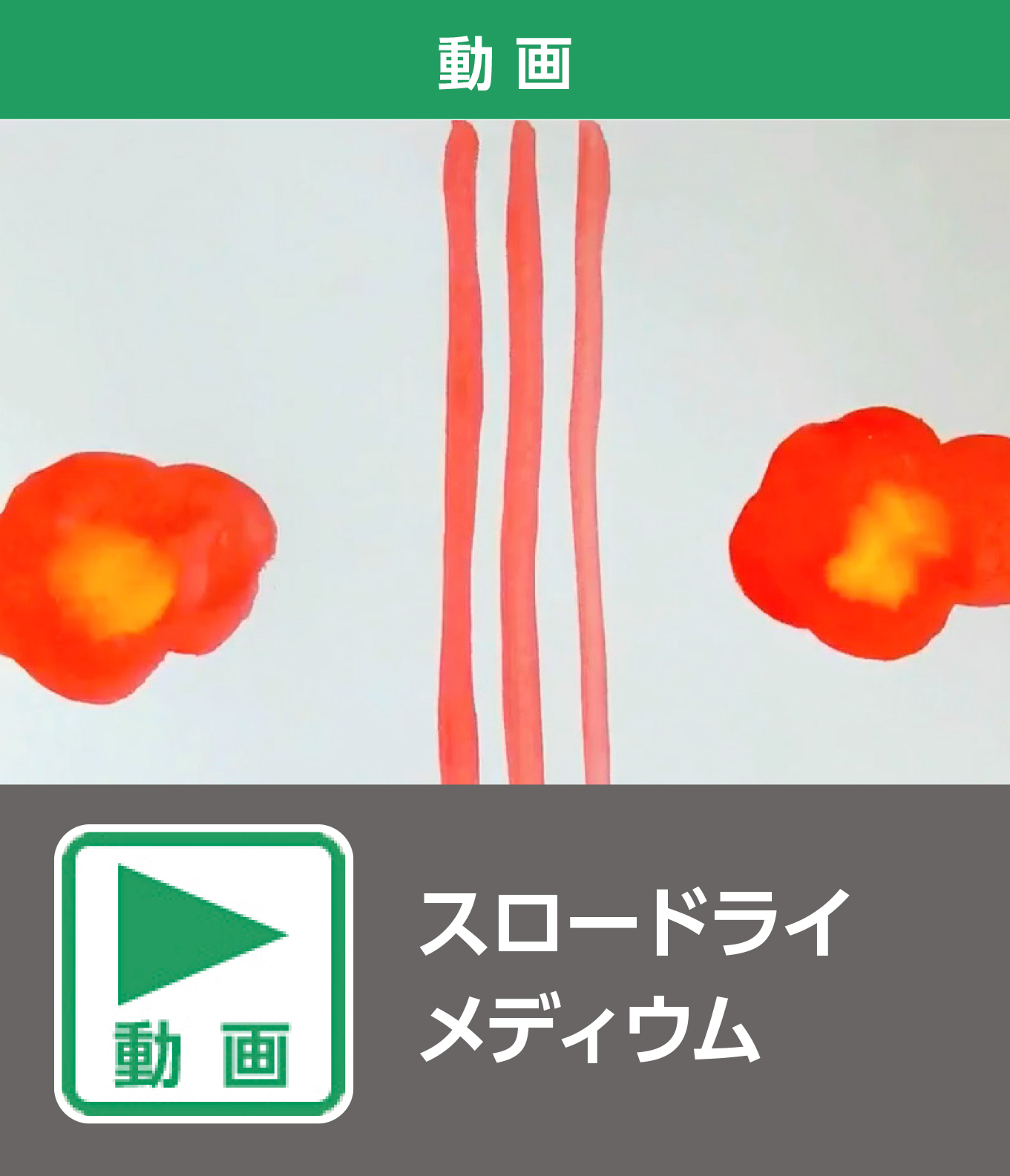 スロードライメディウム（動画）