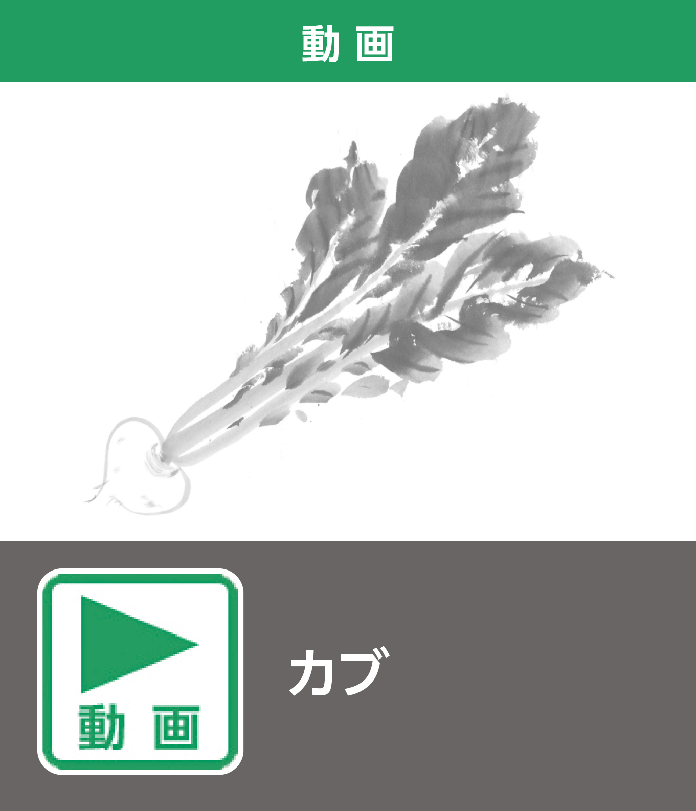 カブ（動画）