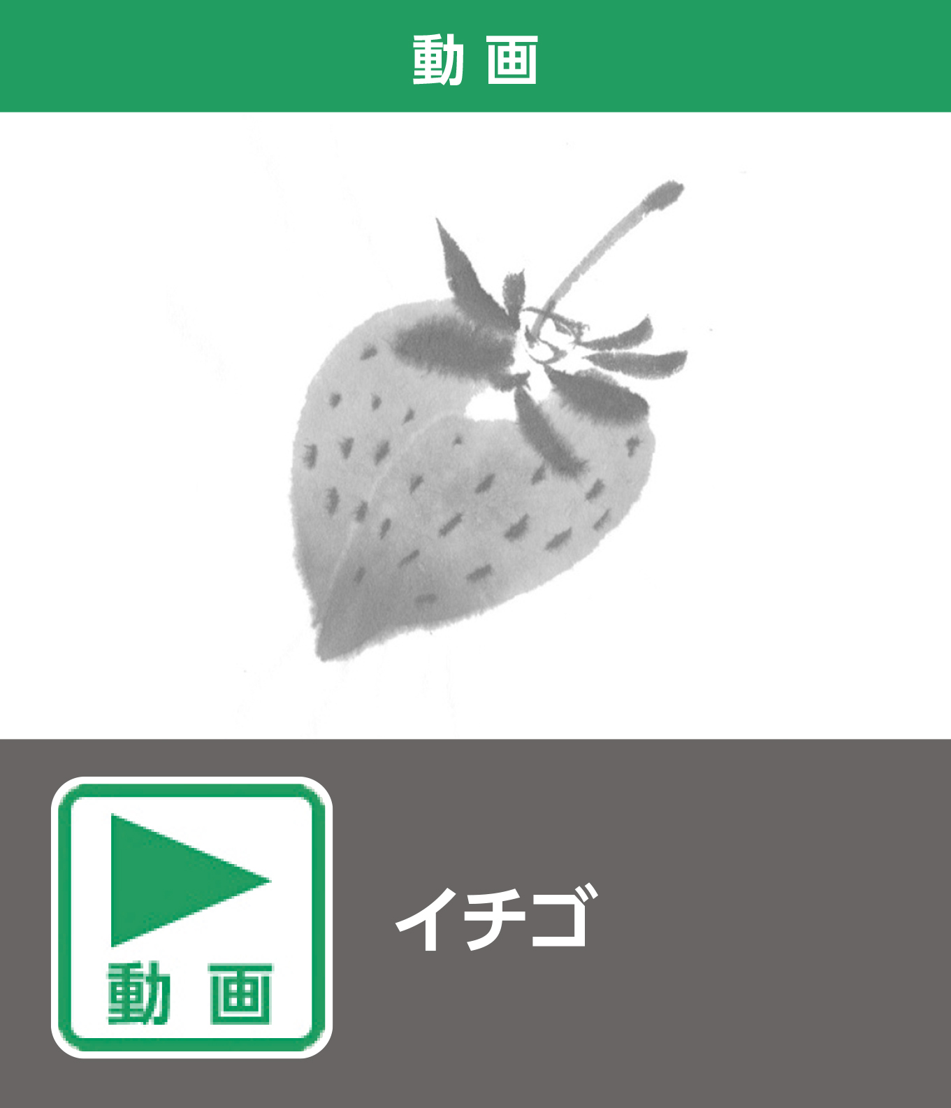 イチゴ（動画）