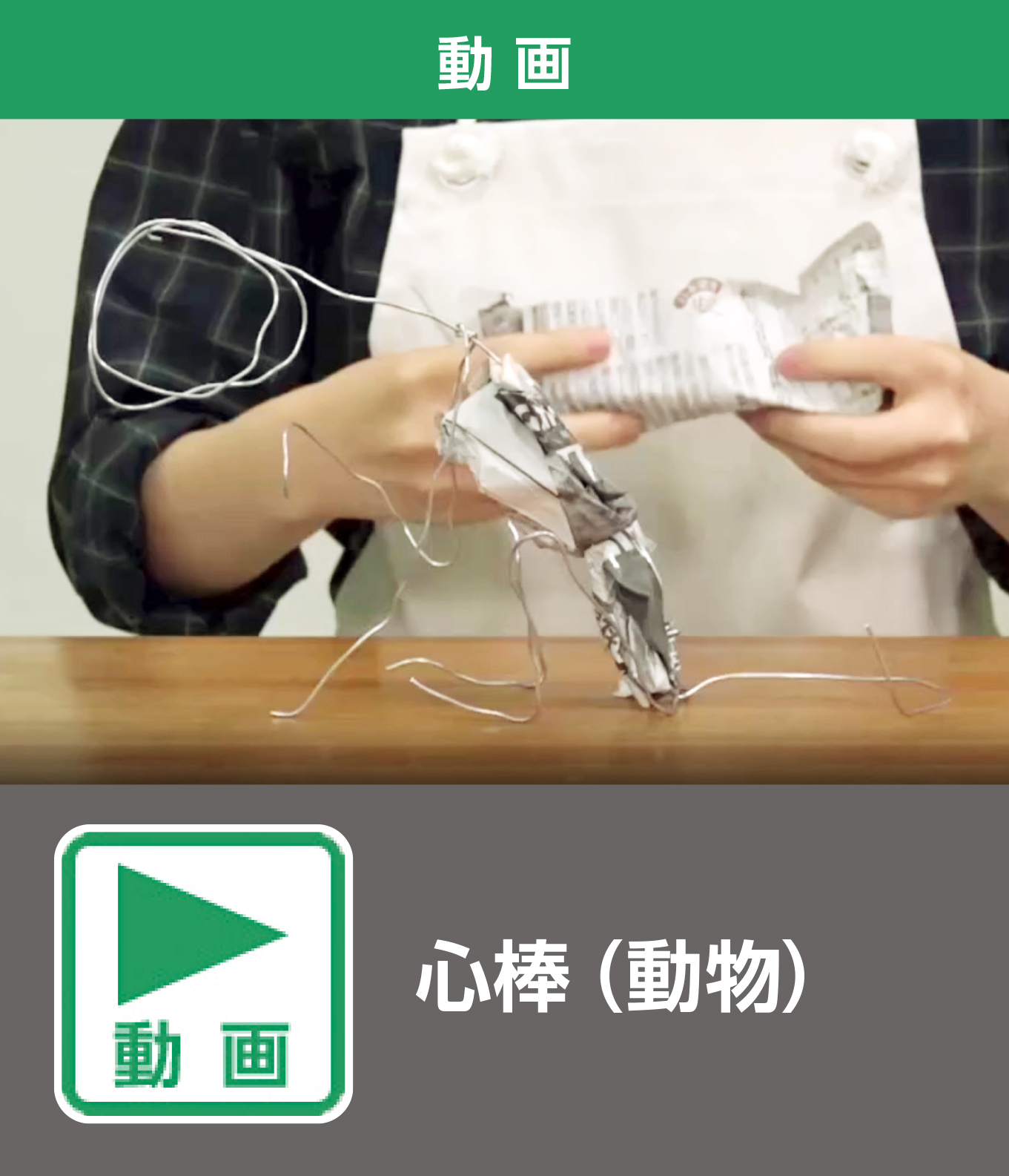 心棒（動物）（動画）