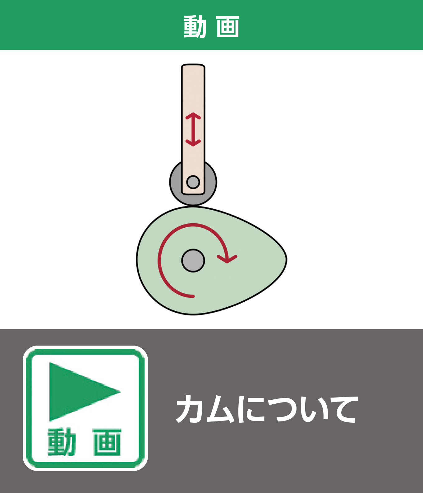 カムについて（動画）