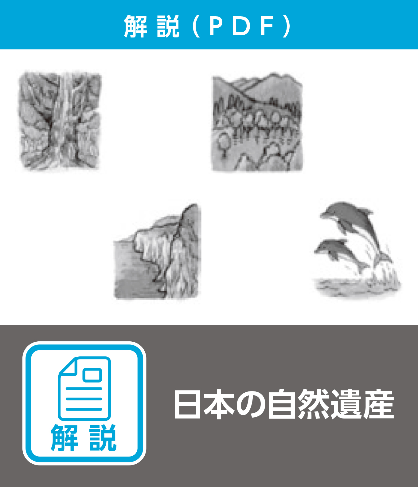 日本の自然遺産（解説）