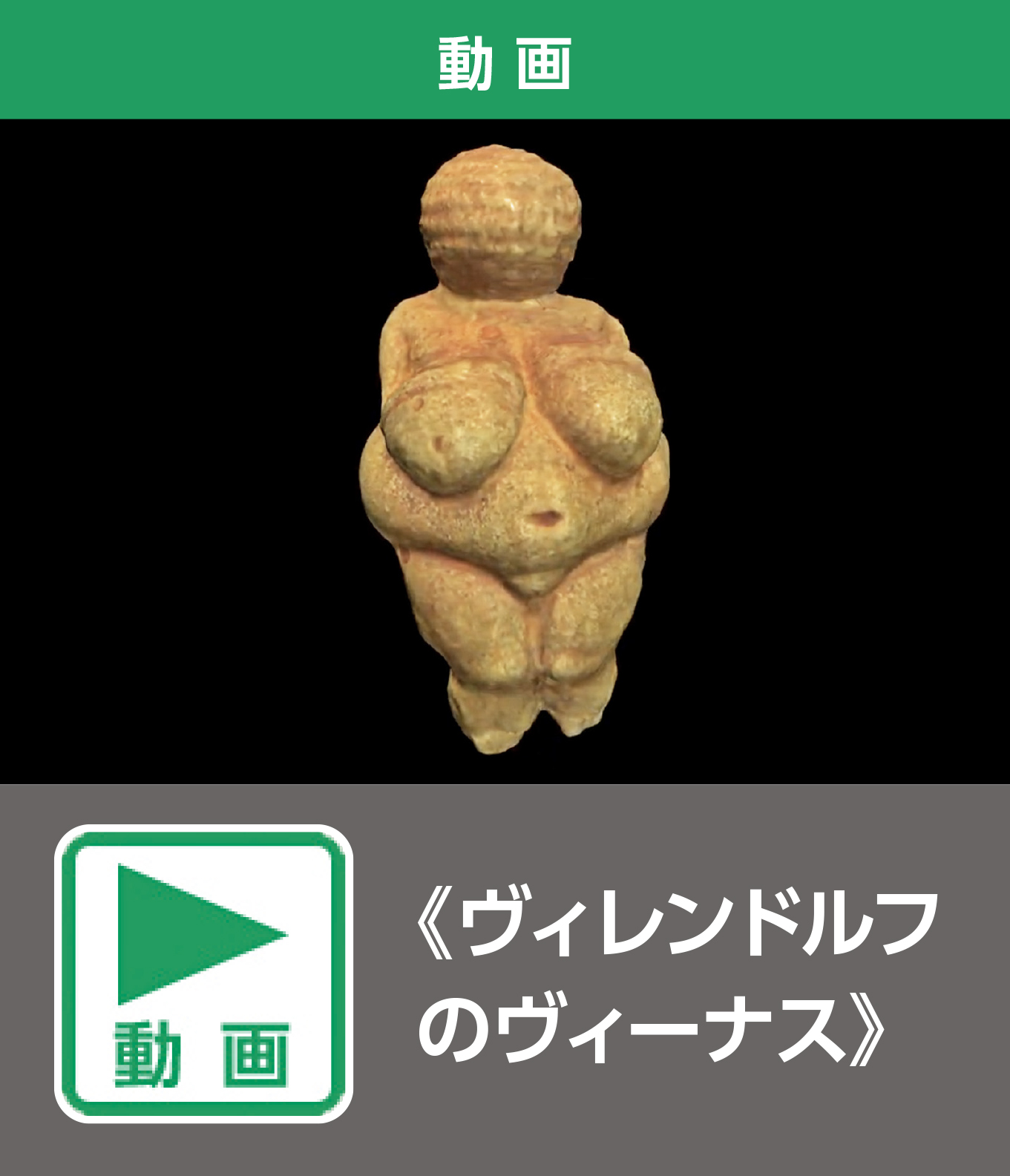 《ヴィレンドルフのヴィーナス》（動画）