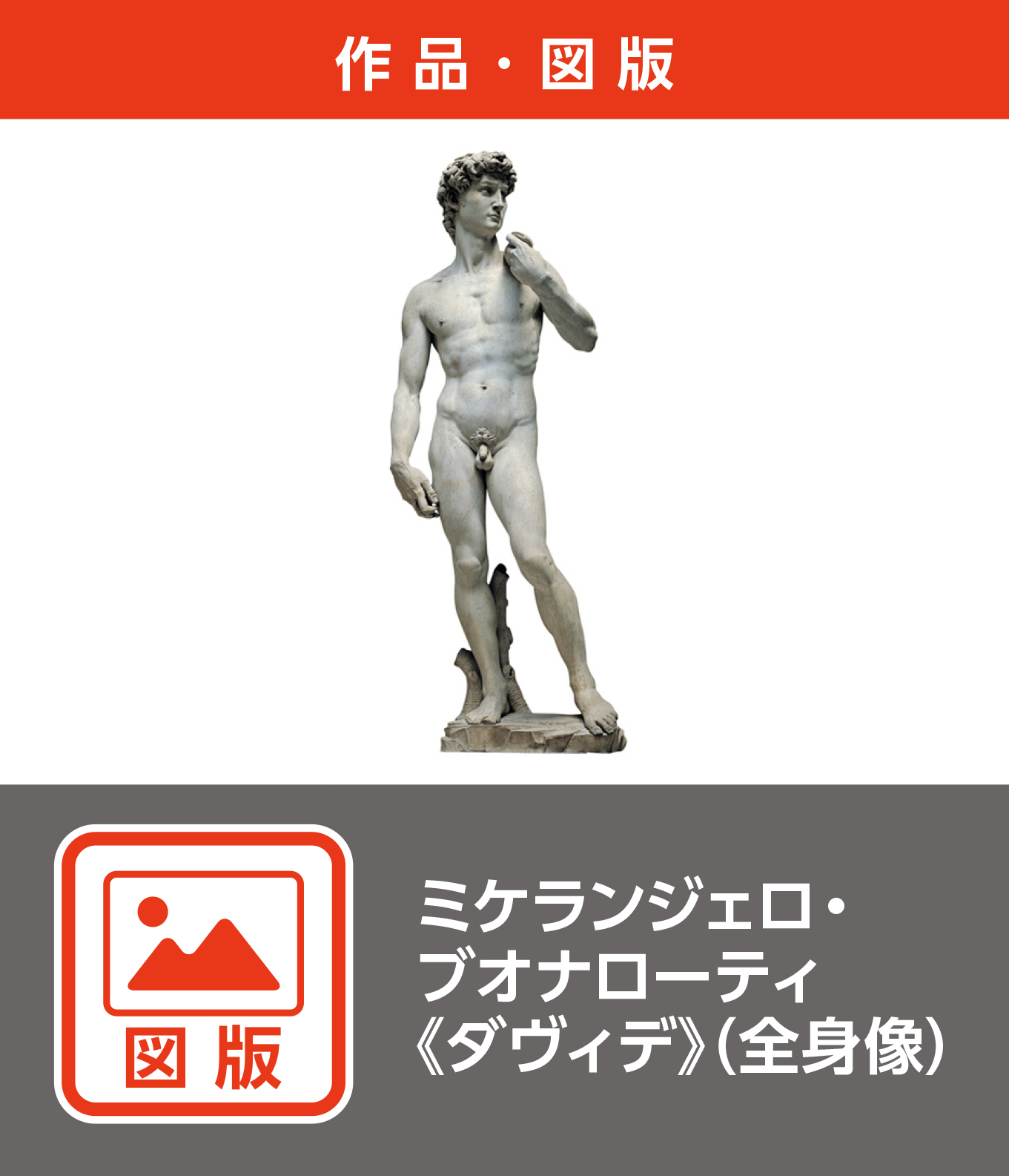 ミケランジェロ・ブオナローティ《ダヴィデ》（全身像）（図版）