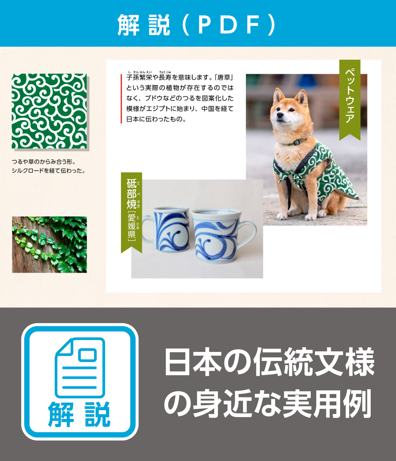 日本の伝統文様の身近な実用例（解説）