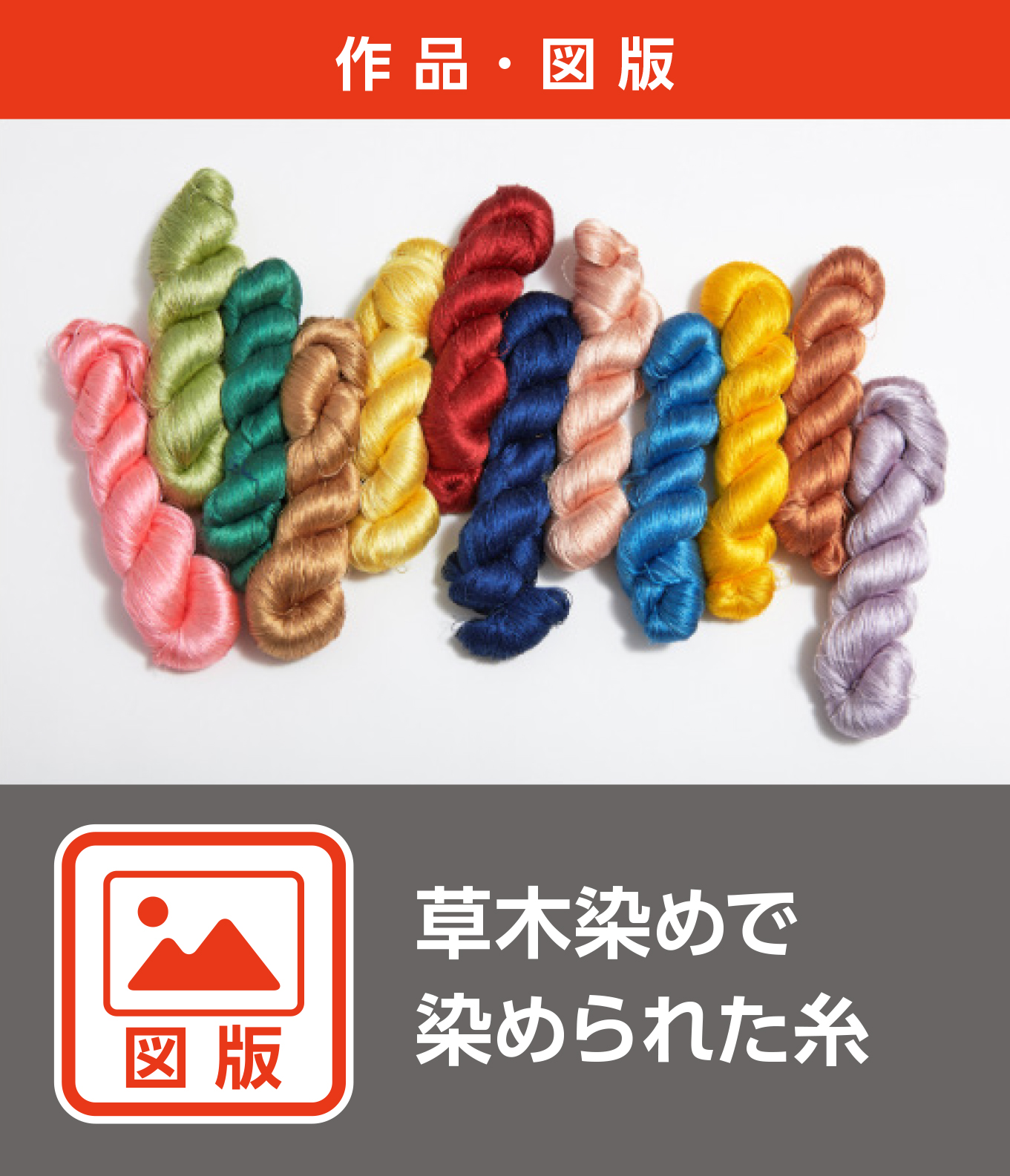 草木染めで染められた糸（図版）