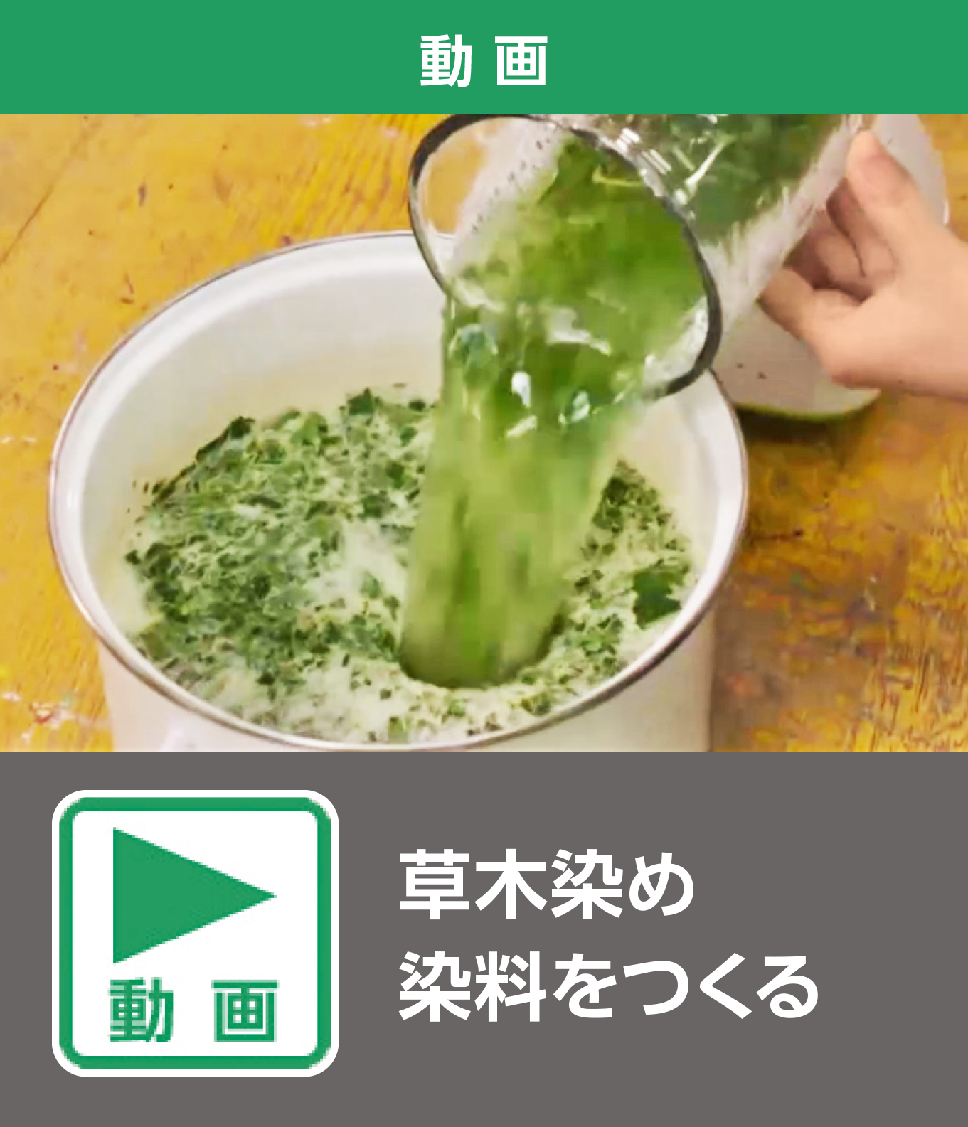 草木染め　染料をつくる（動画）