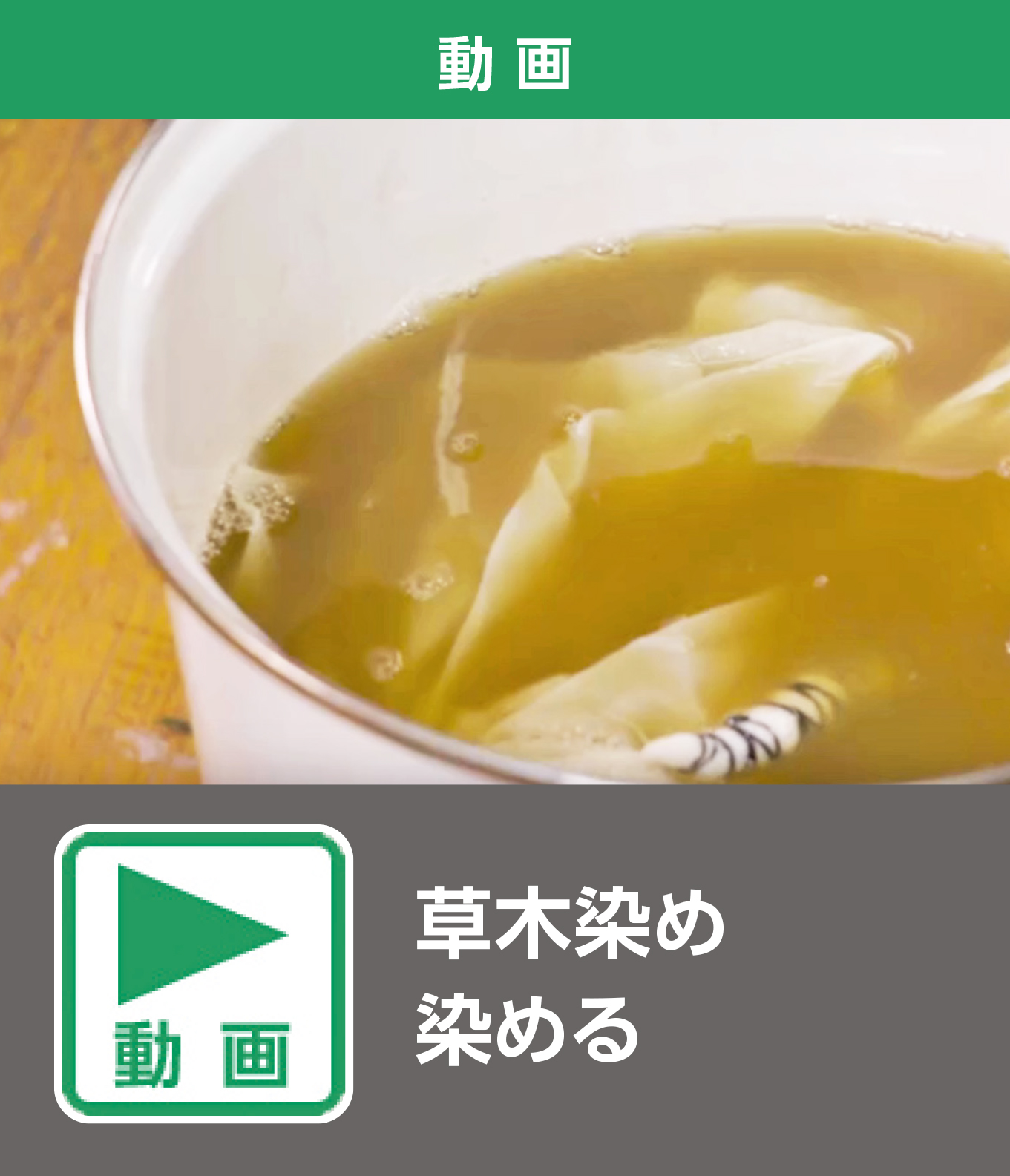 草木染め　染める（動画）