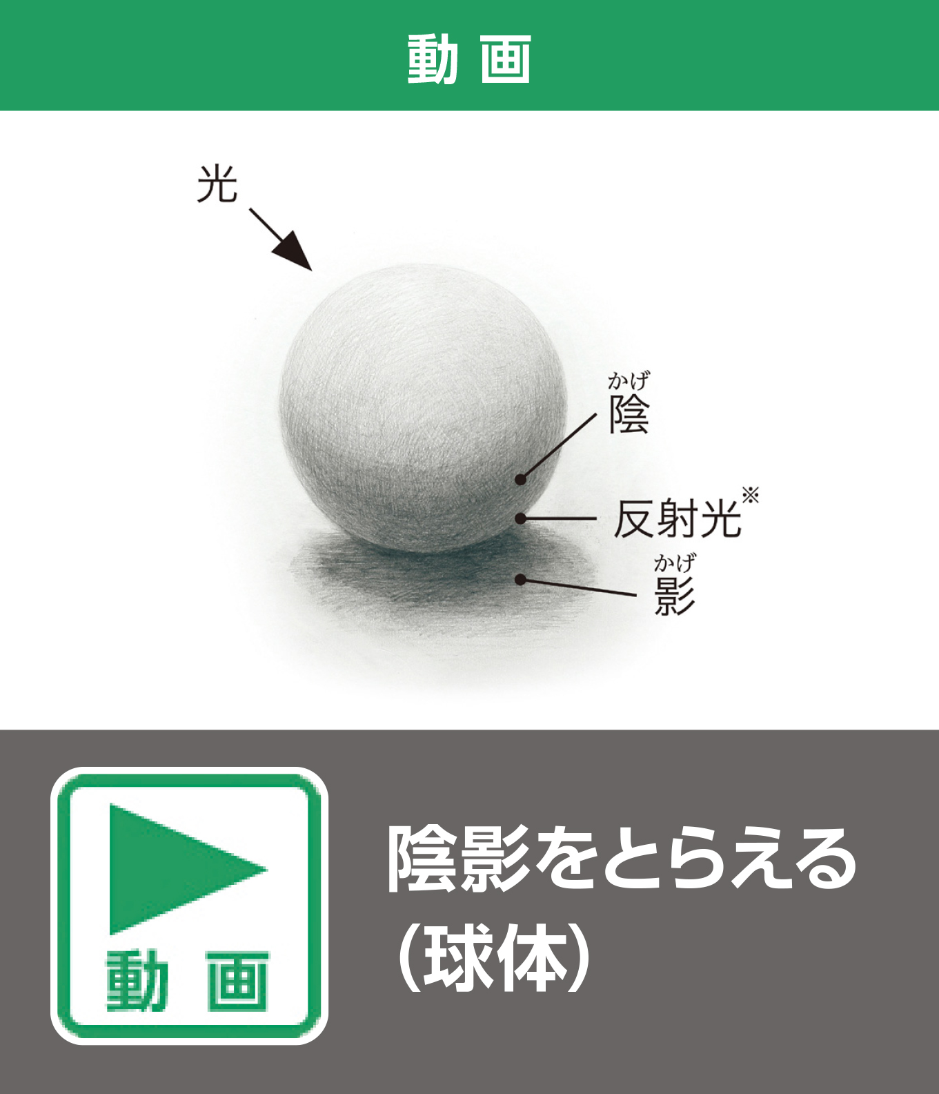 陰影をとらえる（球体）（動画）