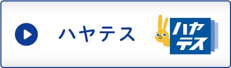 ハヤテスへ